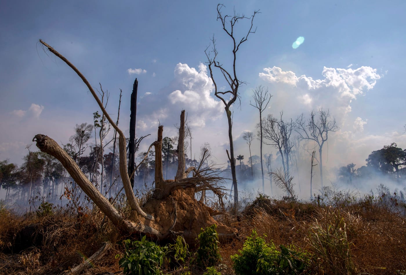 Amazon rainforest fires, August 2019