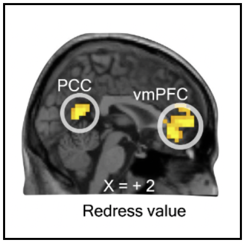 Publication image