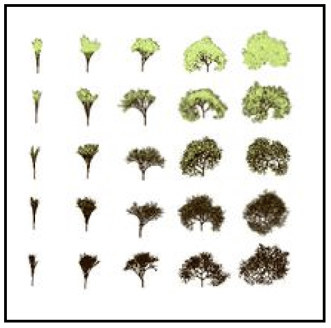 Publication image