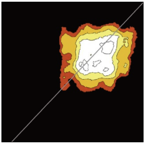 Publication image