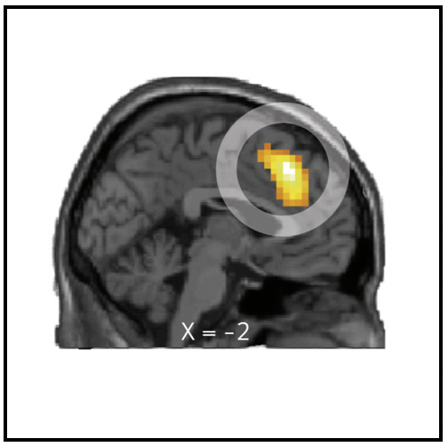 Publication image