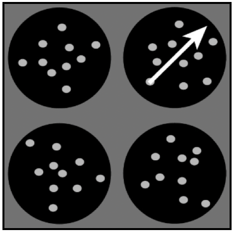 Publication image