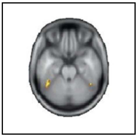 Publication image