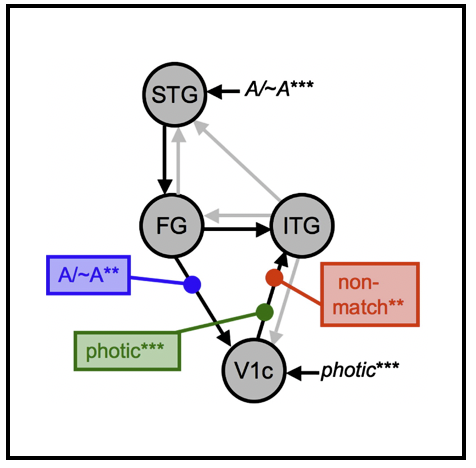 Publication image