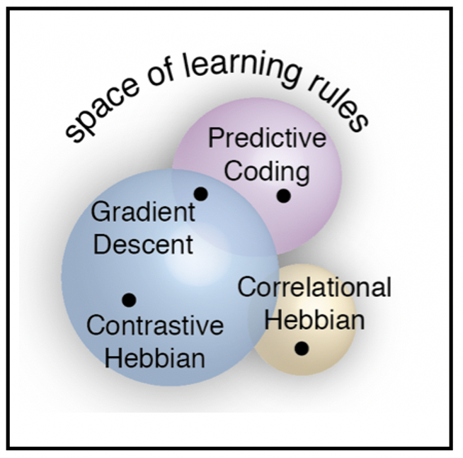 Publication image