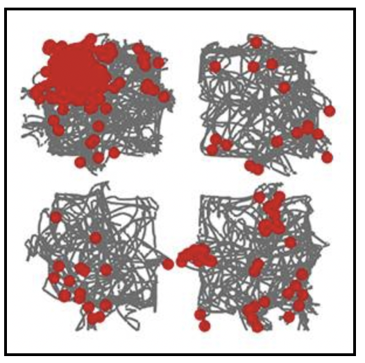 Publication image
