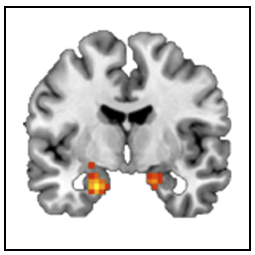 Publication image
