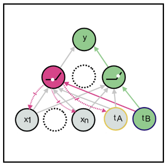 Publication image