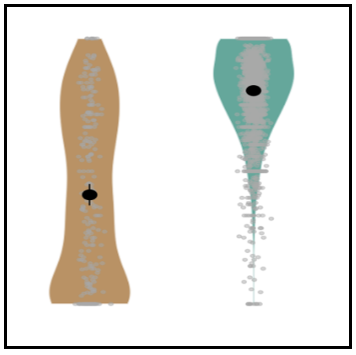 Publication image