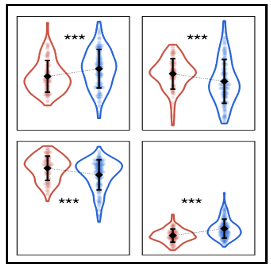Publication image